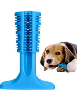 Mordedor Escova Dental para Cães