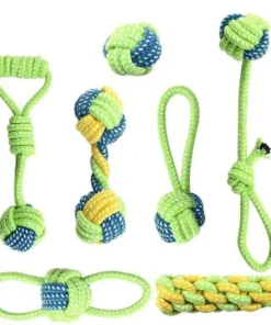Brinquedos Interativo para Cães de Estimação