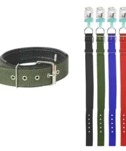 Coleira Pet  Cores Sortidas
